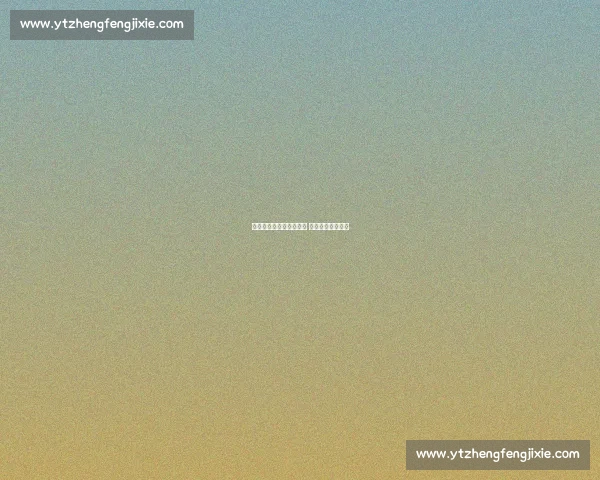 乔迪力证王钰栋留洋实力 浙江沃土更需深耕 乔迪力证王钰栋留洋实力 浙江沃土更需深耕