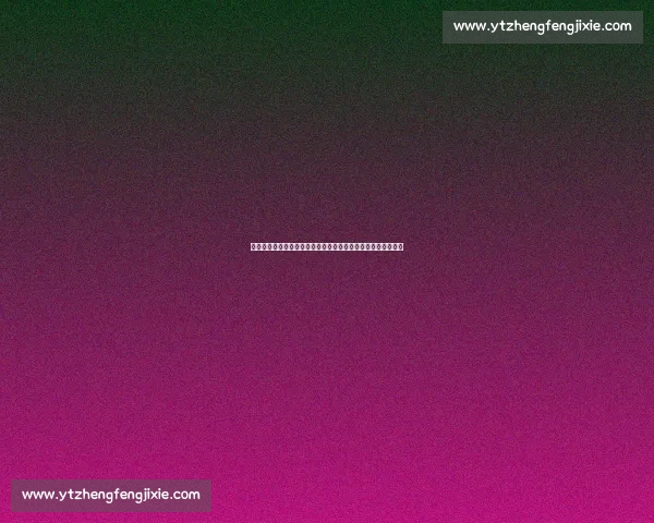 美式锋芒毕露!赵维伦书豪训练营集锦:技巧与蜕变的双重奏鸣 美式锋芒毕露!赵维伦书豪训练营集锦:技巧与蜕变的双重奏鸣