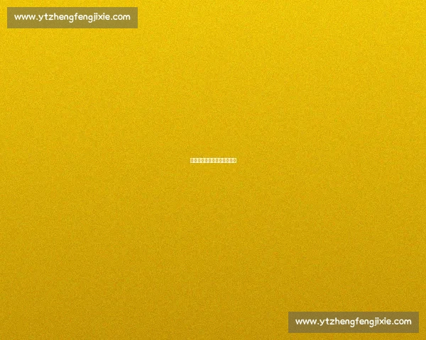 焕新绿茵场，全力备战新赛季