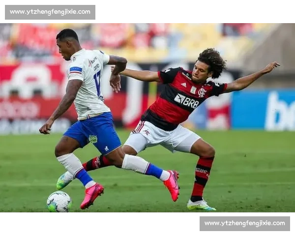 博塔弗戈对阵科林蒂安焦点之战揭示南美足球新格局激情碰撞与荣耀之夜