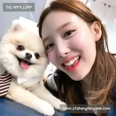 苗剑奇