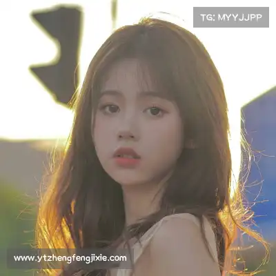 韦芝
